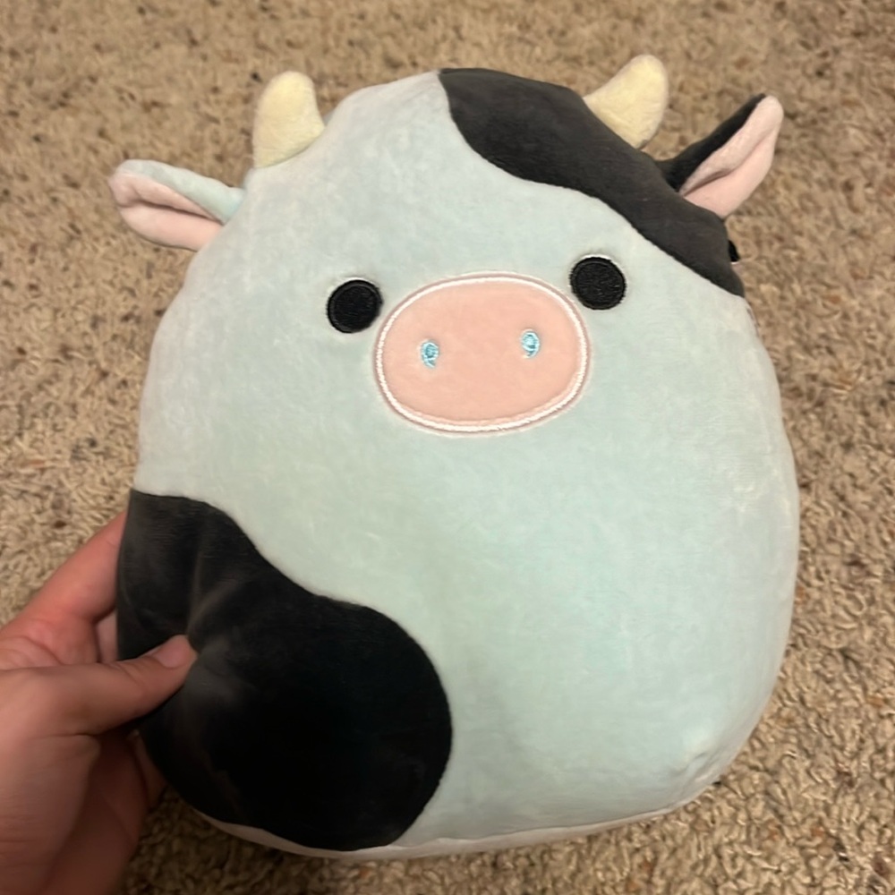 Cillian squishmallow